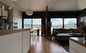 Atico De Diseno Con Terraza En El Centro De Olot