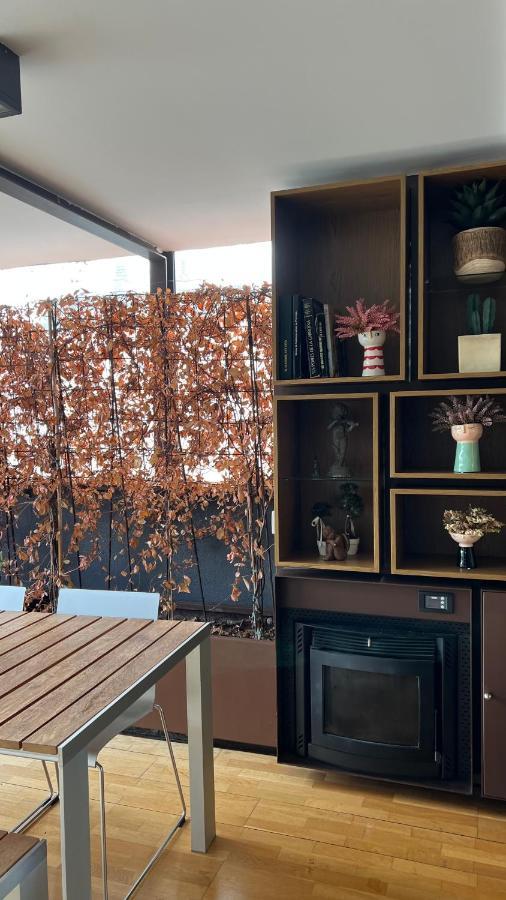 Atico De Diseno Con Terraza En El Centro De Olot Appartement Buitenkant foto